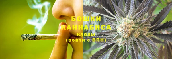 спайс Тавда