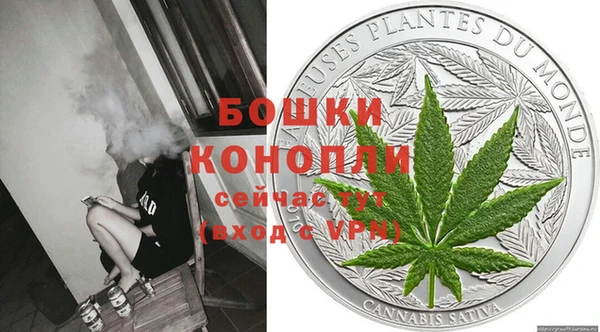 спайс Тавда