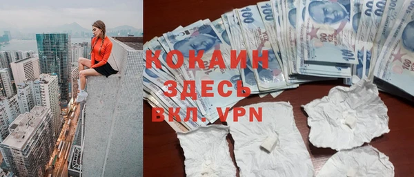 спайс Тавда